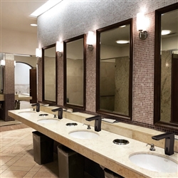 Franklin Automatic Faucet